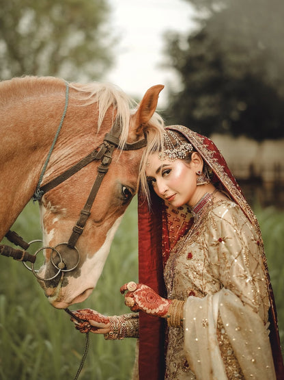 Aangan