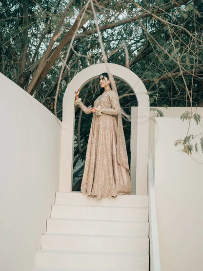 Chandni