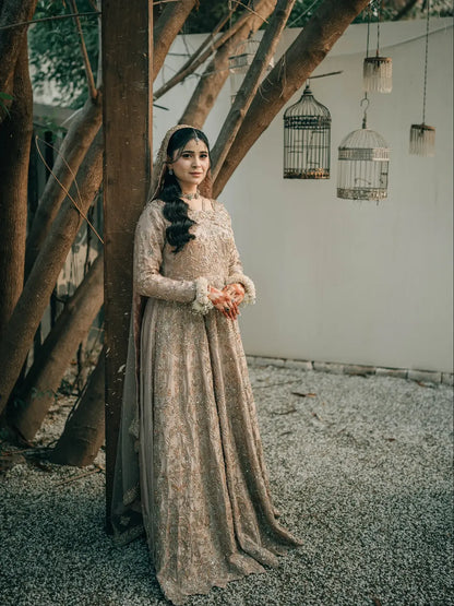 Chandni